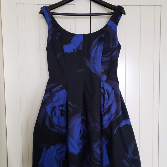Sleeveless Flare Dress Black with Blue Flowers - Picture 1 of 5